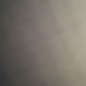 Meet your Posher, Bryant